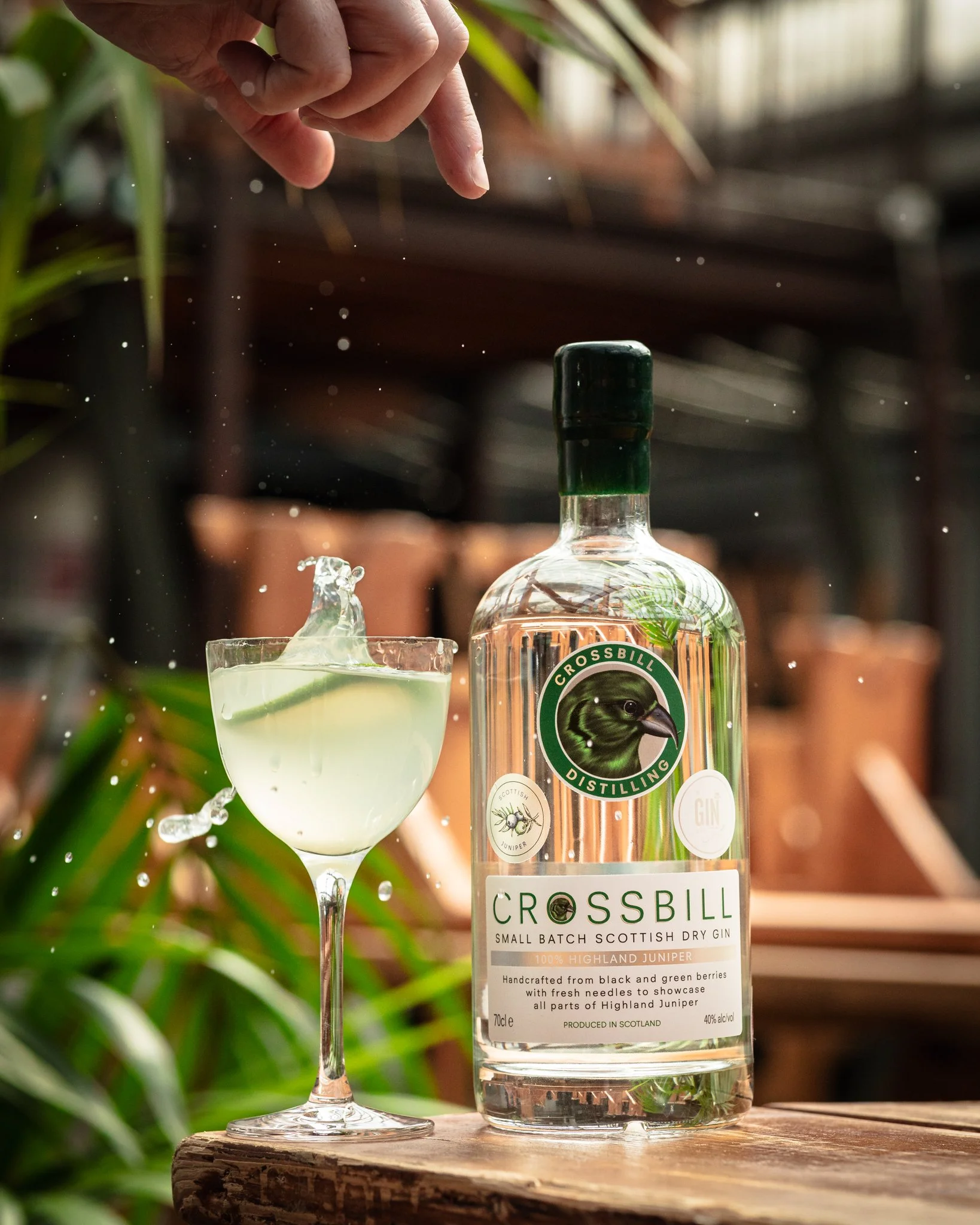 Crossbill Green Dry Gin — CROSSBILL GIN